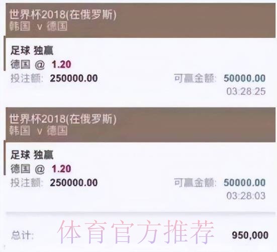 详细解析世界杯投注平台选择与推荐